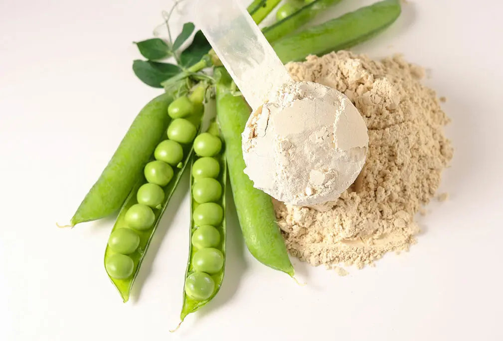 2024/04/beneficios-proteina-vegana-en-polvo-guisante.jpg