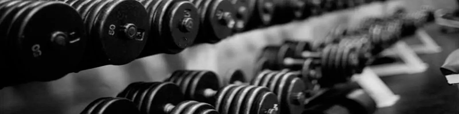 2024/04/inspiracion-deportiva-weider1600x400x1600x400.jpg