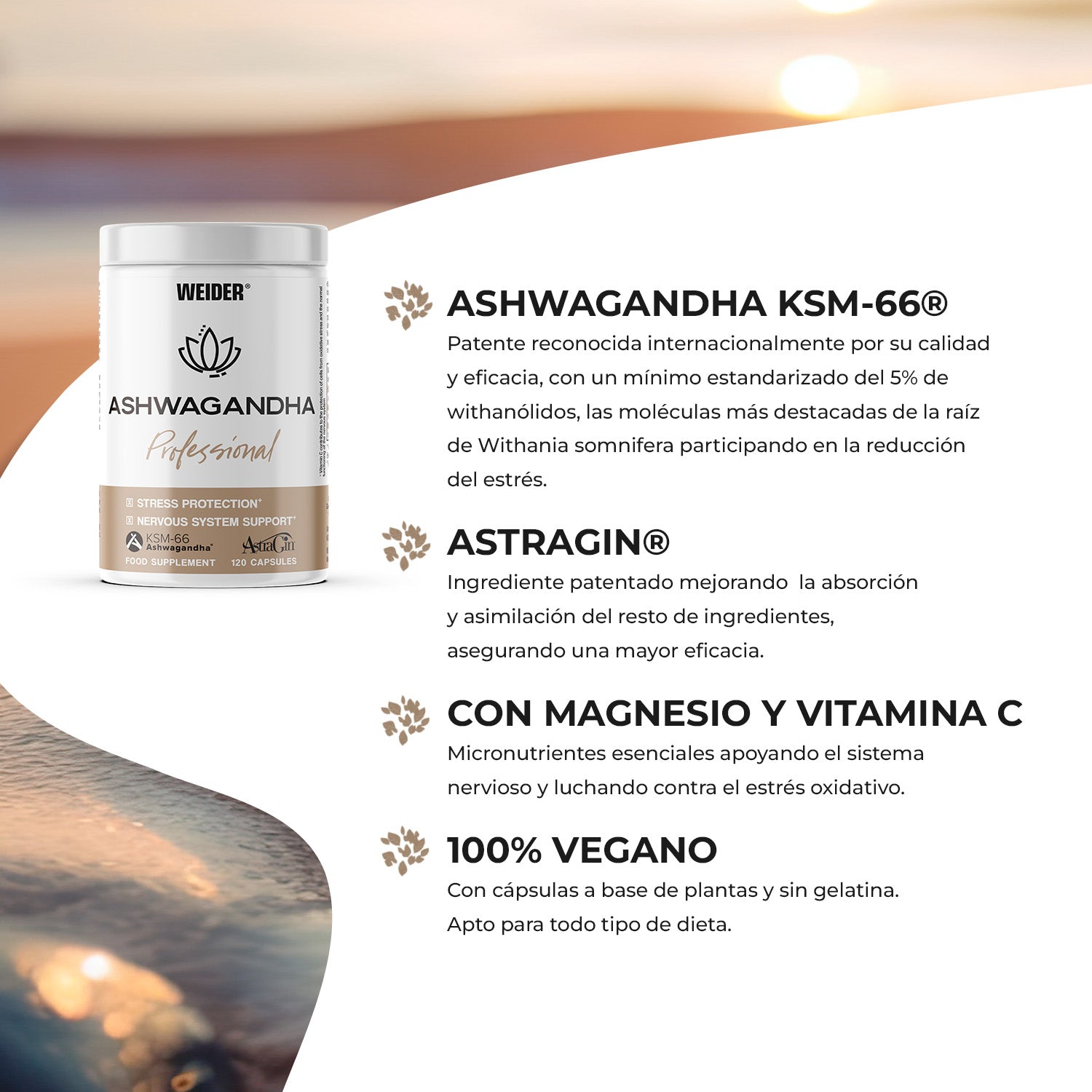 Professional Ashwagandha