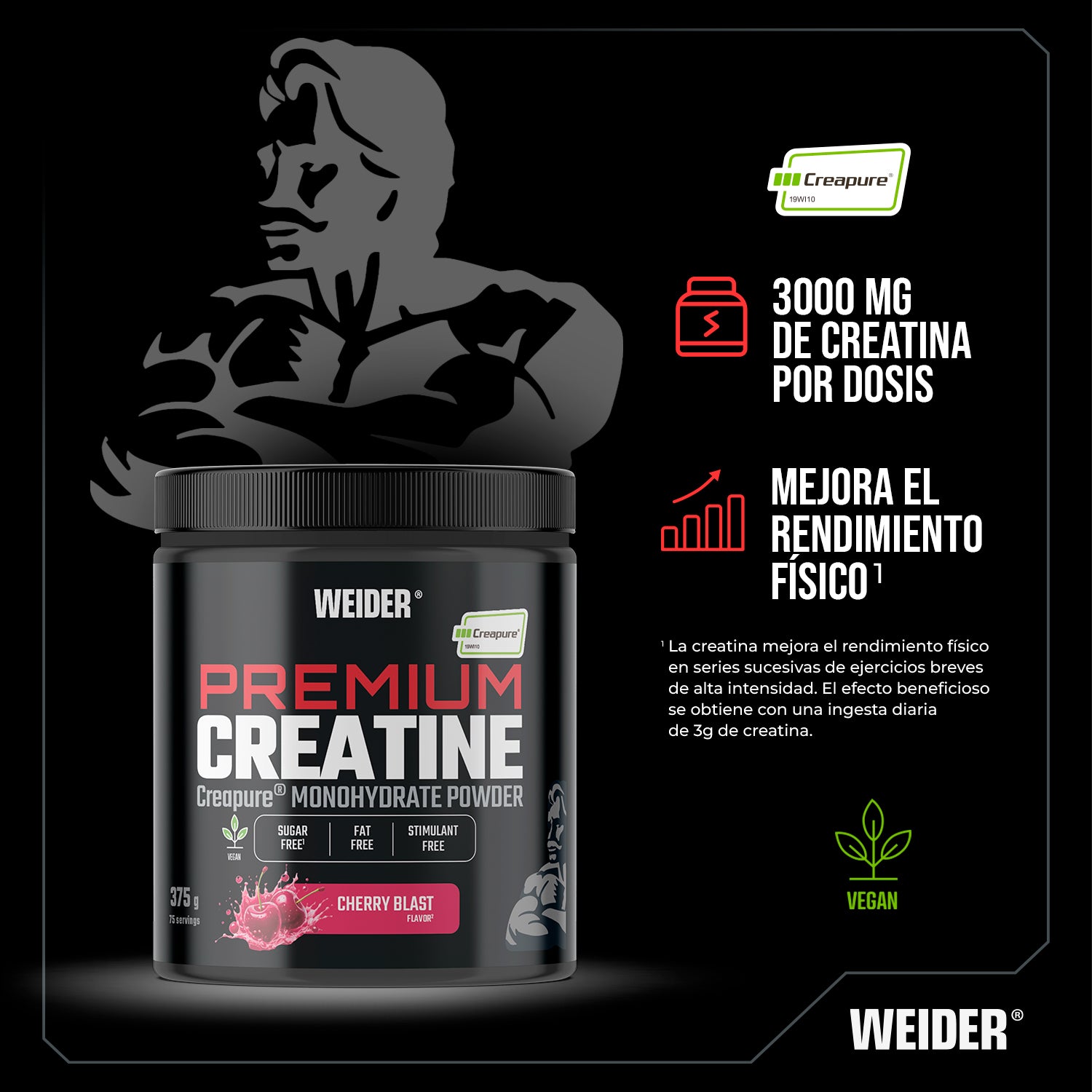 Premium Creatine Creapure