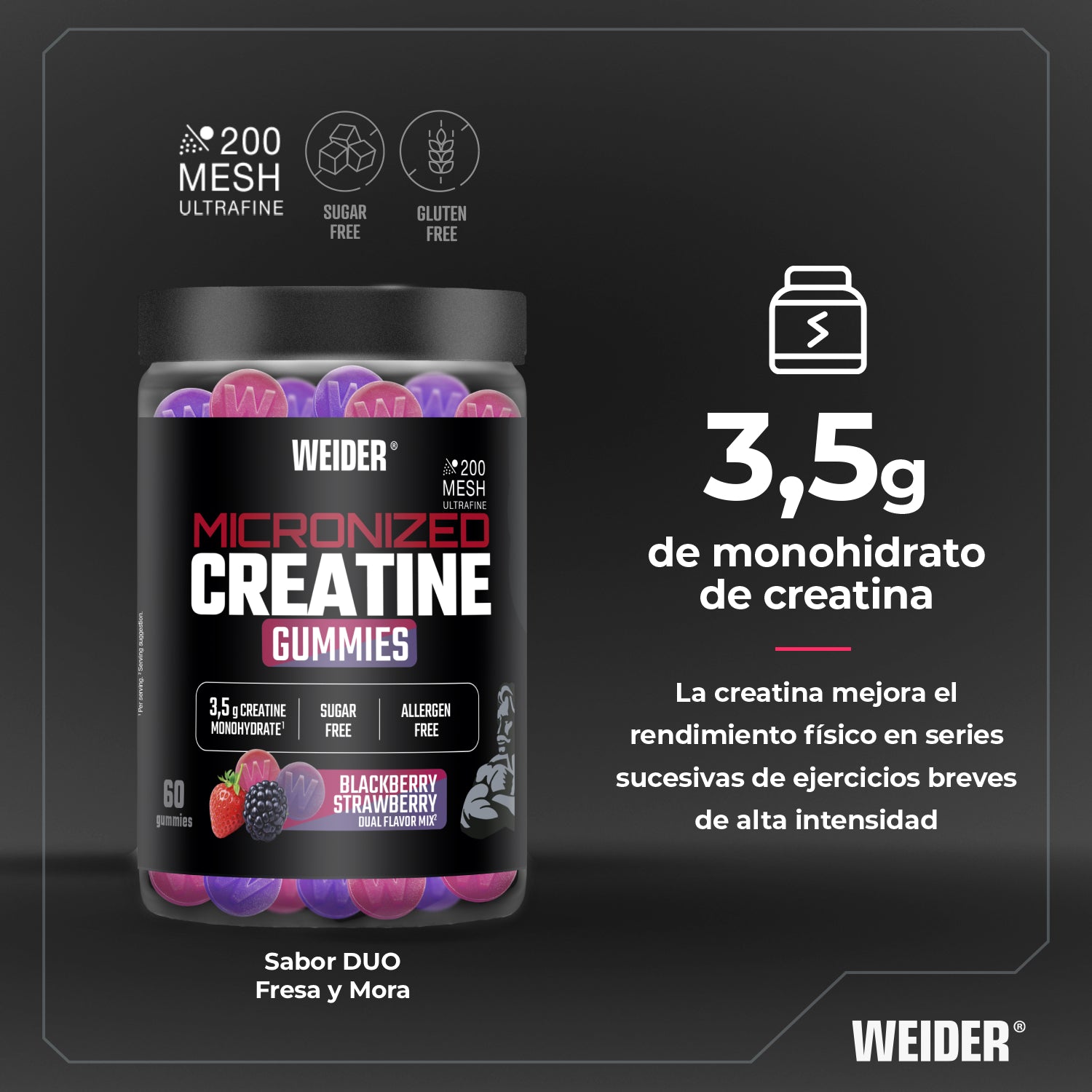 Creatine Monohydrate
