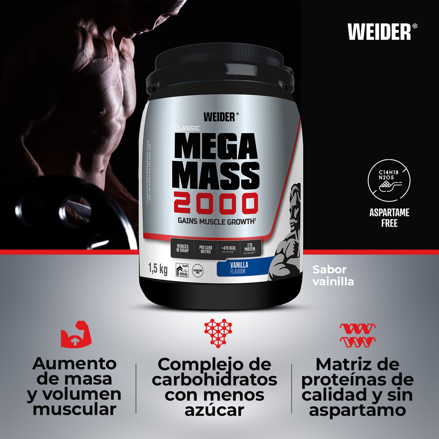 Mega Mass 2000