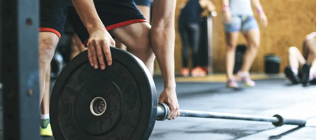 2024/04/8-Suplementos-imprescindibles-crecer-muscularmente.jpg