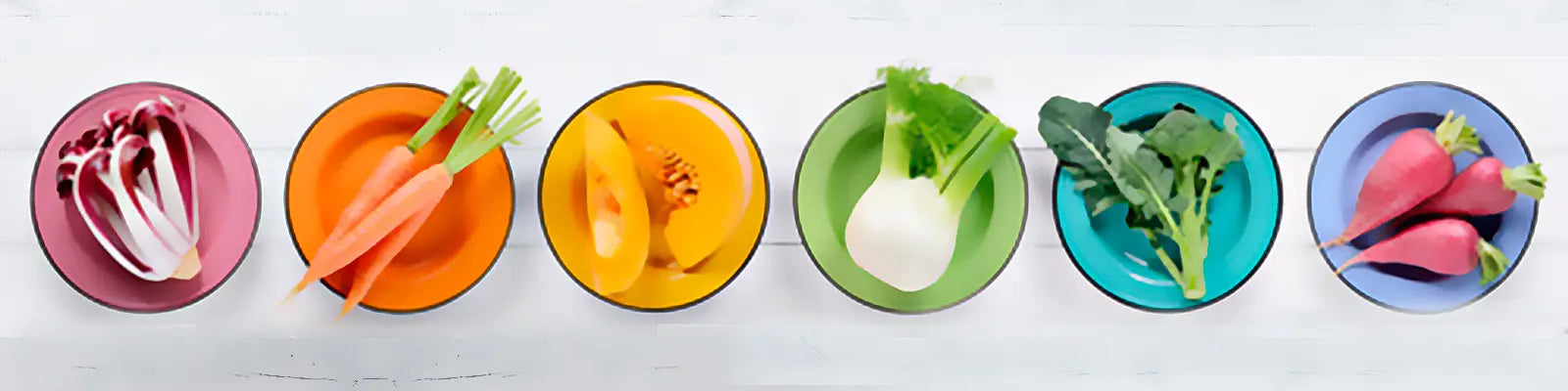 2024/04/guia-comer-mas-verduras-2x1600x400.jpg
