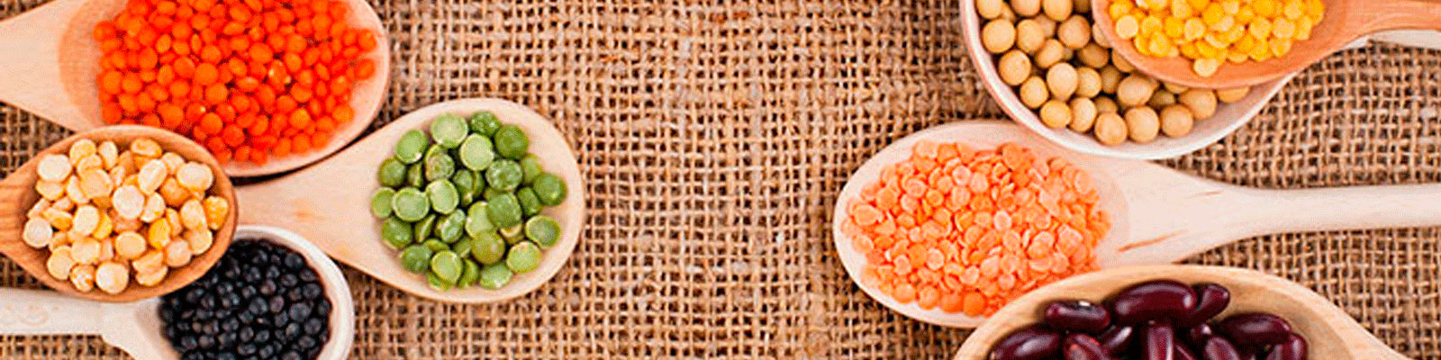 2024/04/proteinas-vegetales-weider1600x400x1600x400.png