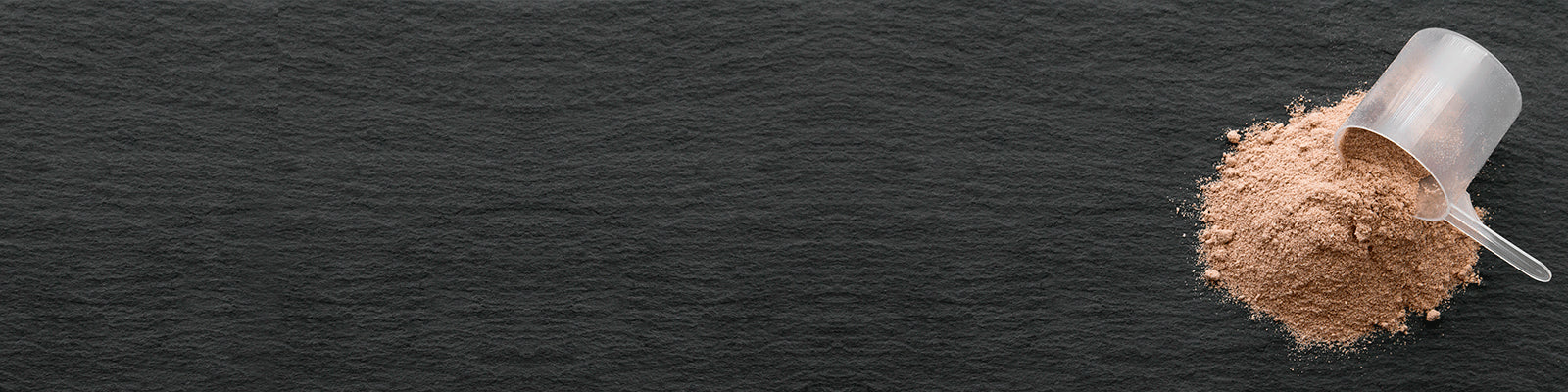 2024/04/tipos-de-proteinas-weider1600x400x1600x400.png