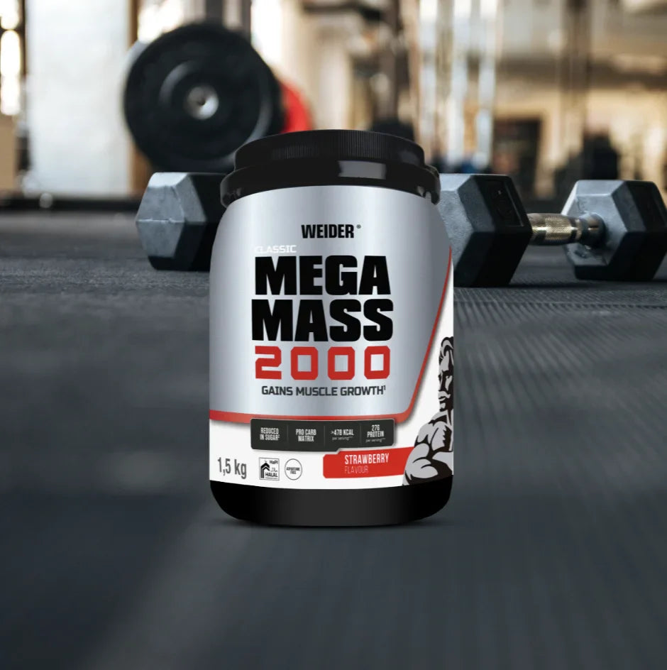 Ganadores de masa muscular