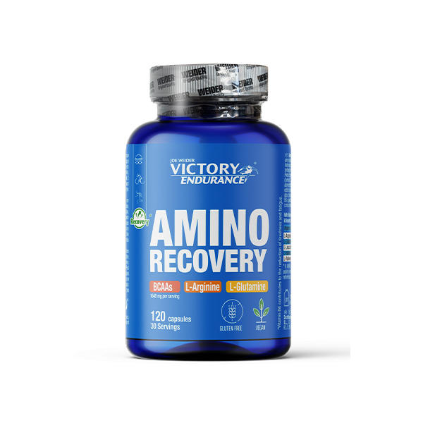 Amino-Recovery-web.webp