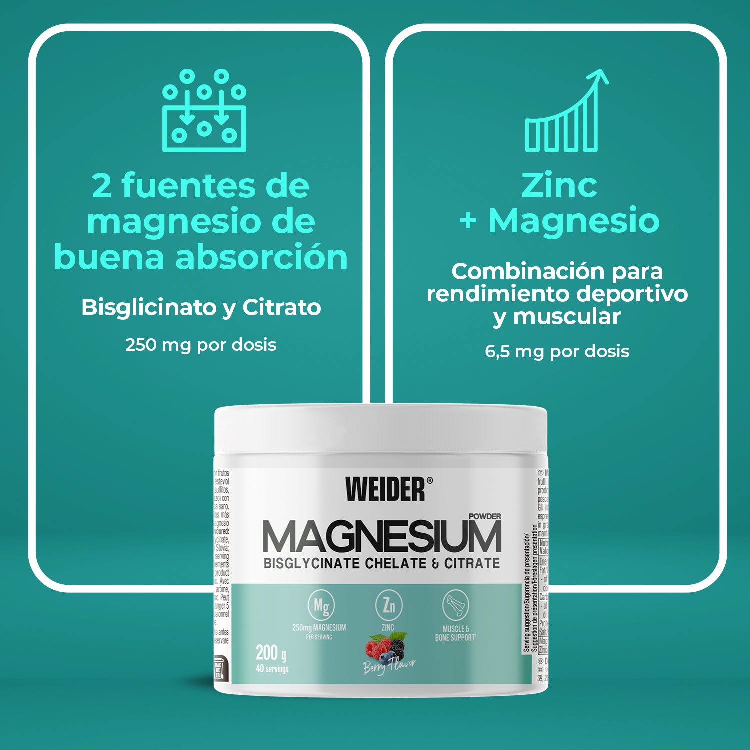 Polvo de magnesio