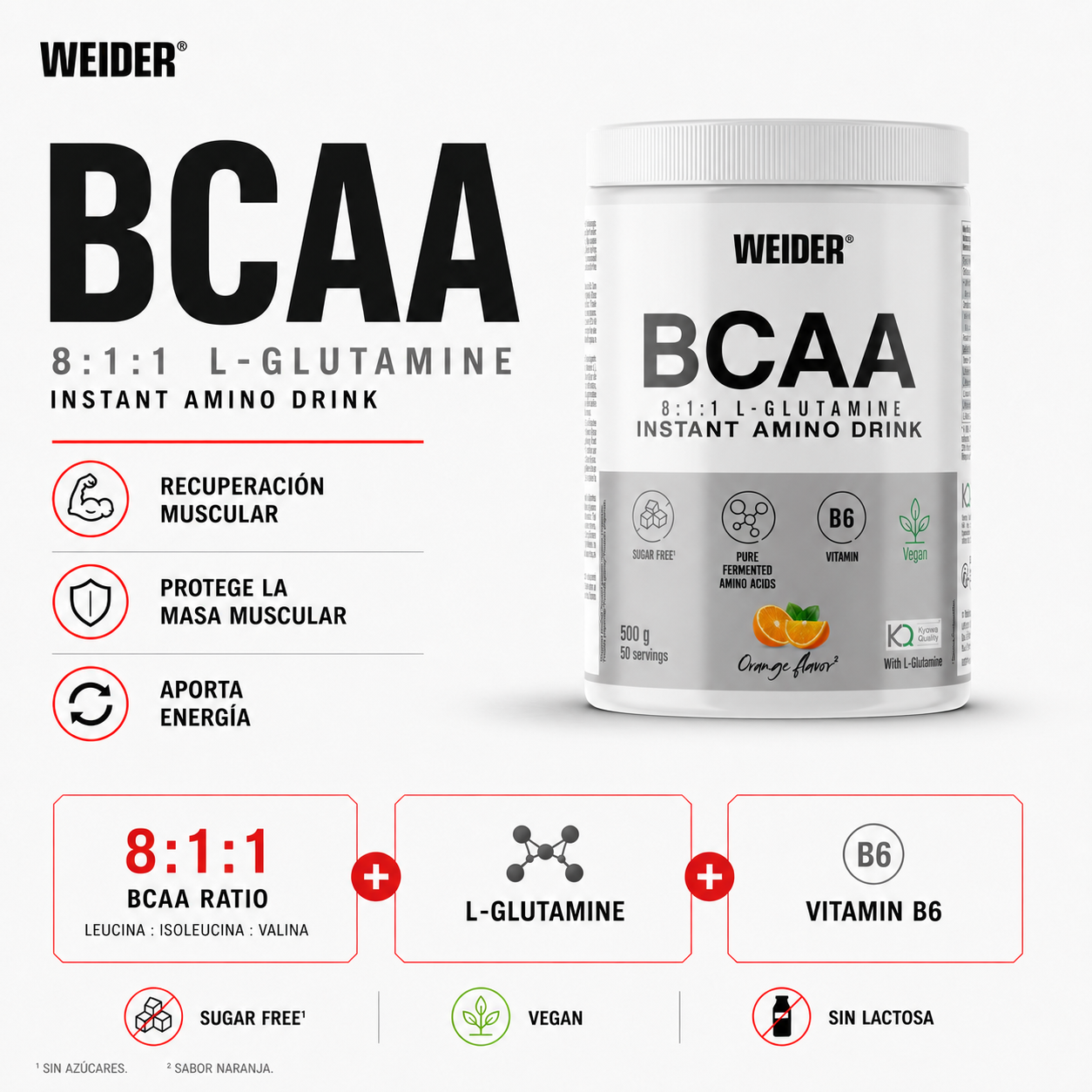 Premium BCAA 8:1:1 + L-GLUTAMINA