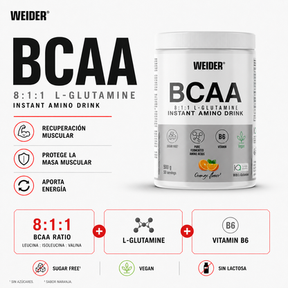Premium BCAA 8:1:1 + L-GLUTAMINA