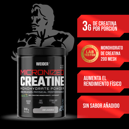 Micronized Creatine