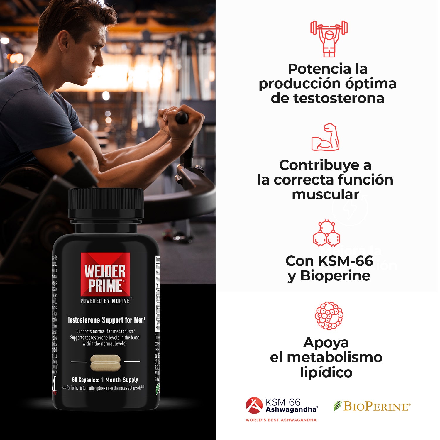 Weider Prime Testosterone Support