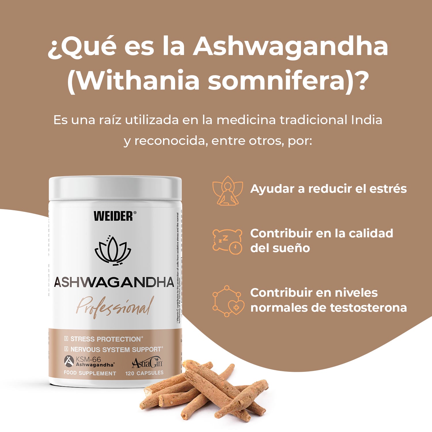 Professional Ashwagandha