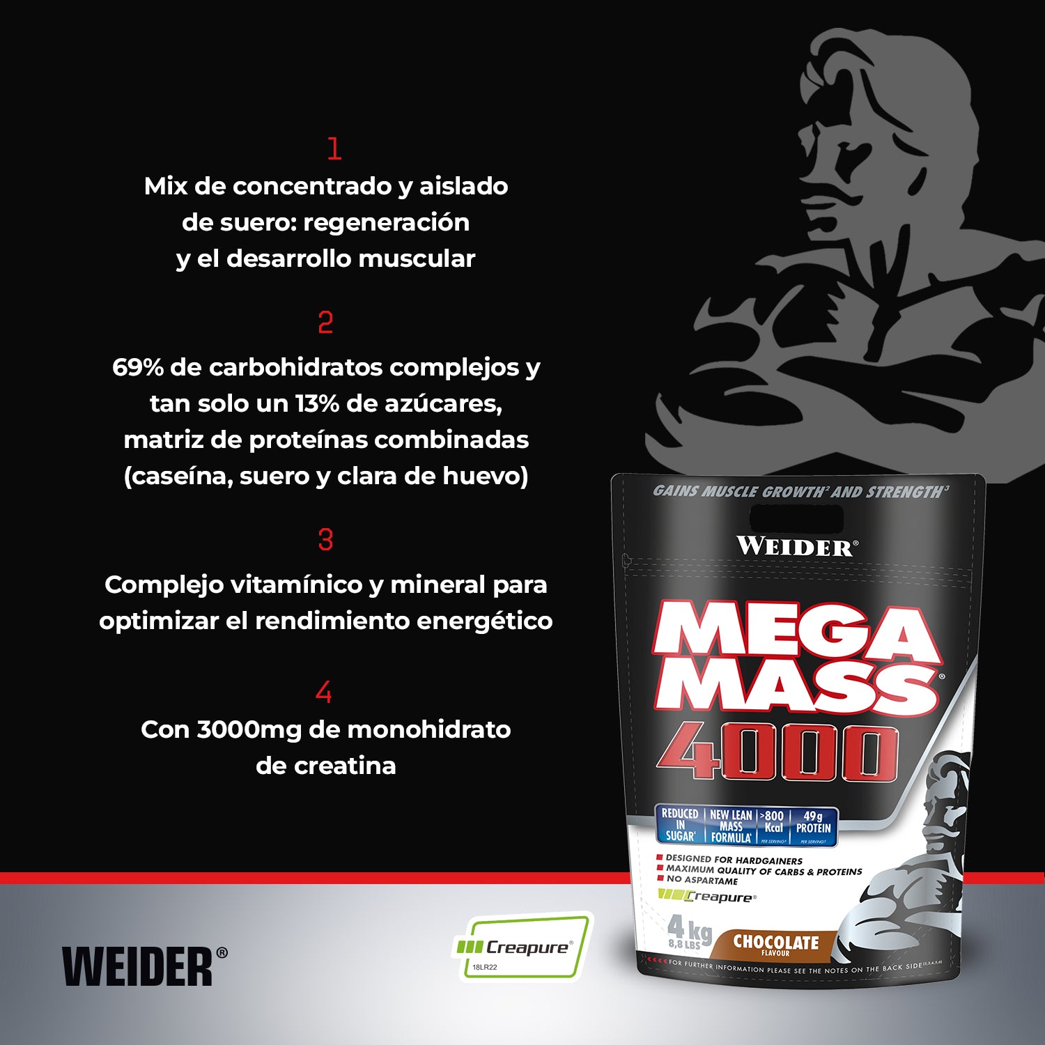 Mega Mass 4000